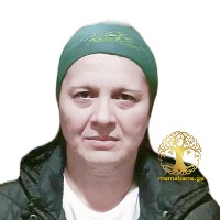 შევარდენიძე  ნინო მედავითნე