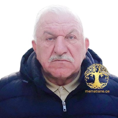 დავით მუმლაძე (ჯარისკაცის ჩანაწერები 1992-93 ომი) ავტ. ლალი ცერაძე