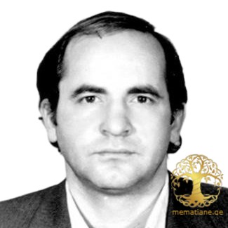 შინაგან საქმეთა სამინისტრო რედ. ირმა ირემაძე