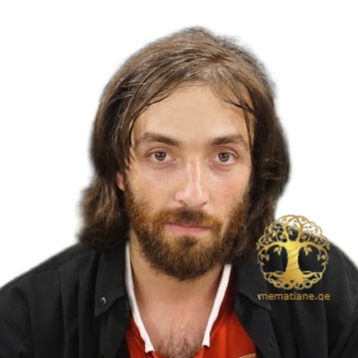 მიხაელენკო 