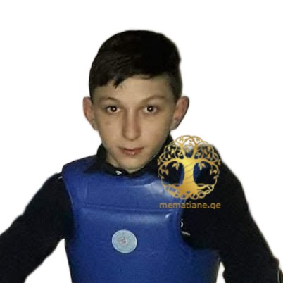 სერგო ალფაიძე, ევროპის პრიზიორი, უშუ/კუნგ-ფუ